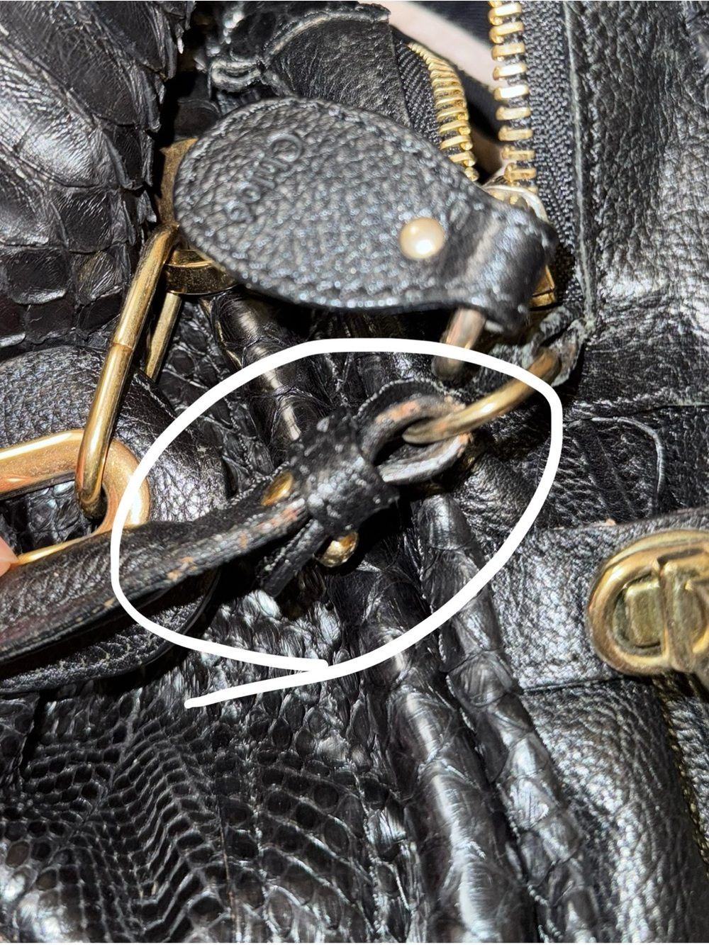 Authentic Chloe Python Paraty handbag - Picture 7 of 8